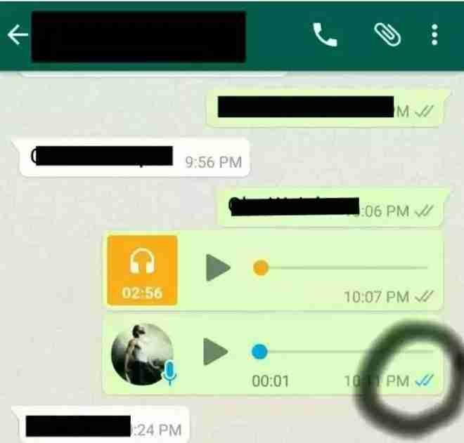 whatsapp-blue-tick-checker