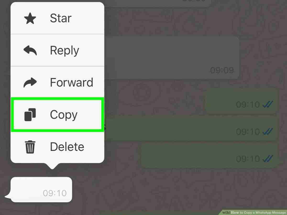 copy-whatsapp-messages