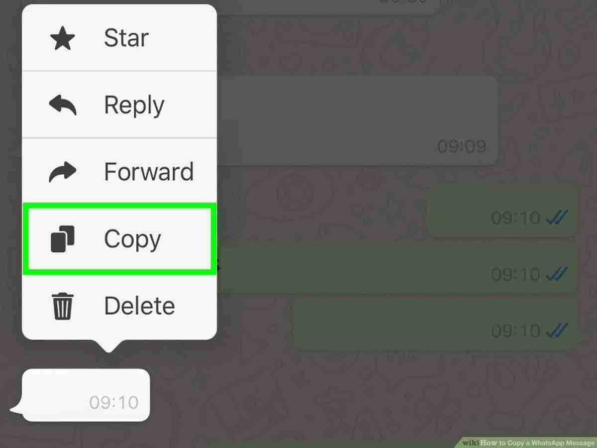 copy-whatsapp-messages