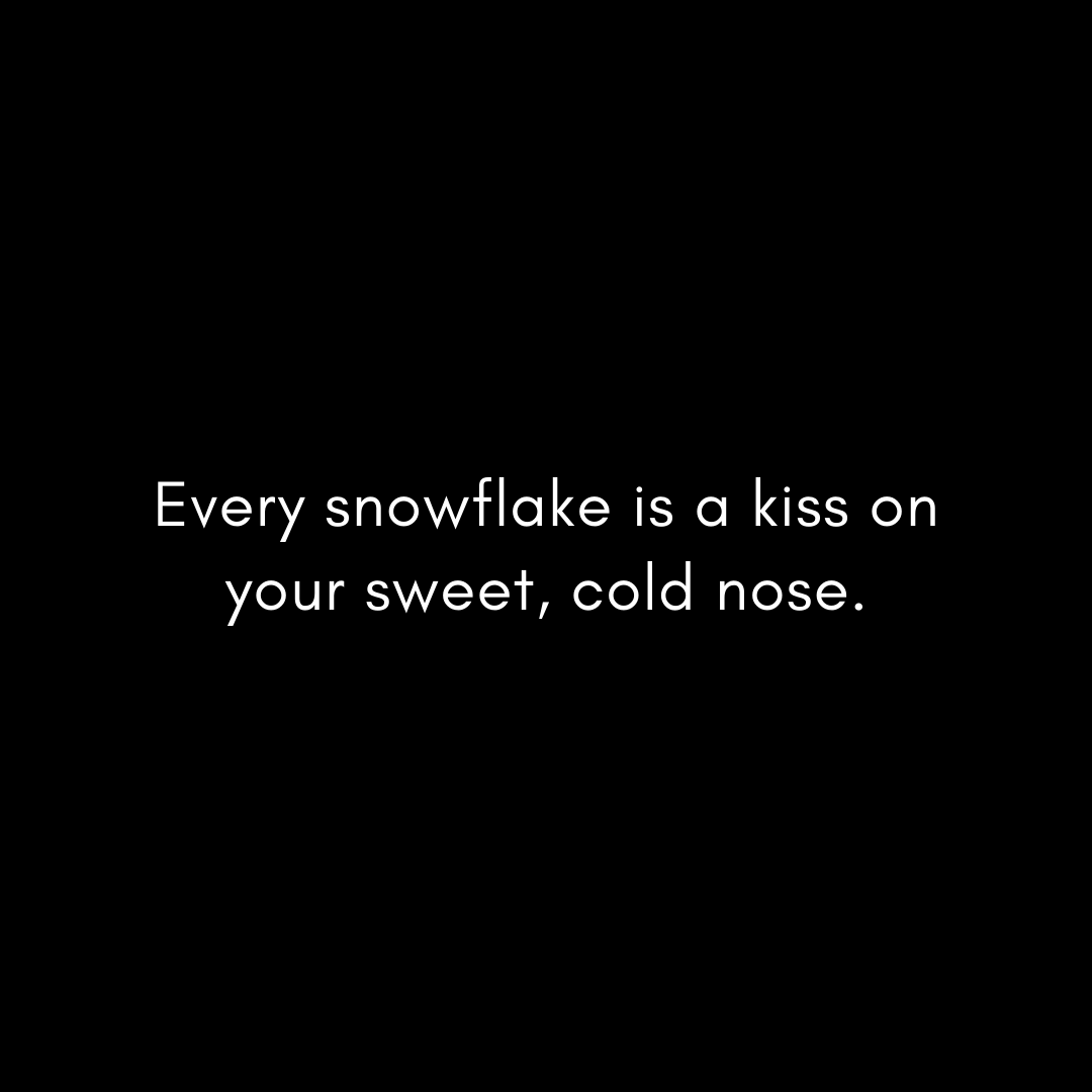 every-snowflake