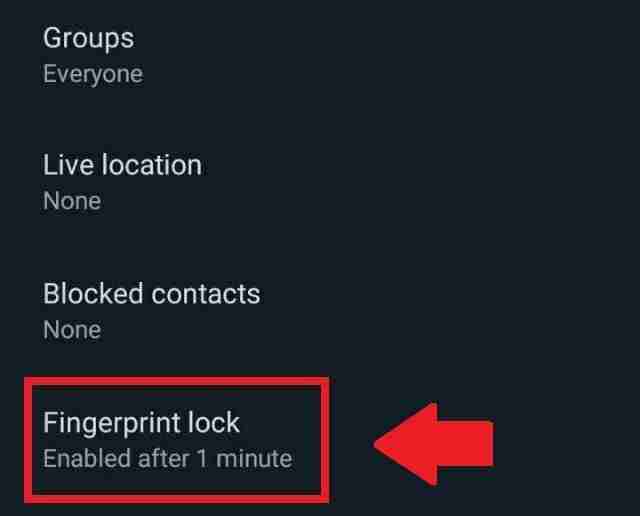 fingerprint-lock