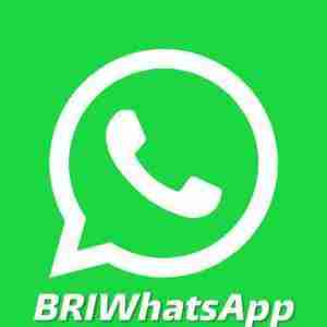 bri-whatsapp-feature